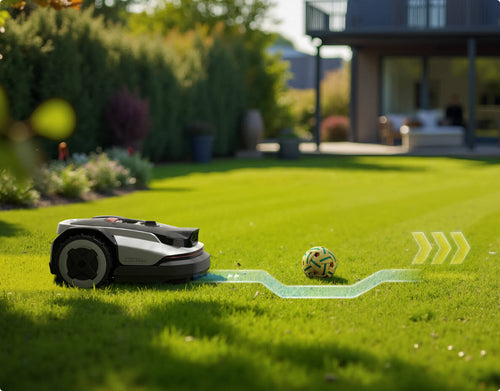 Roborock RockNeo Q1